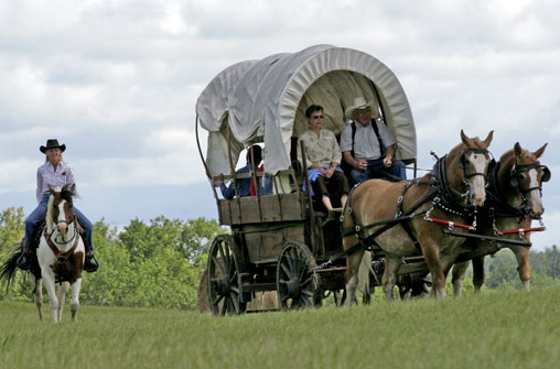 horse-drawn covered wagon rides